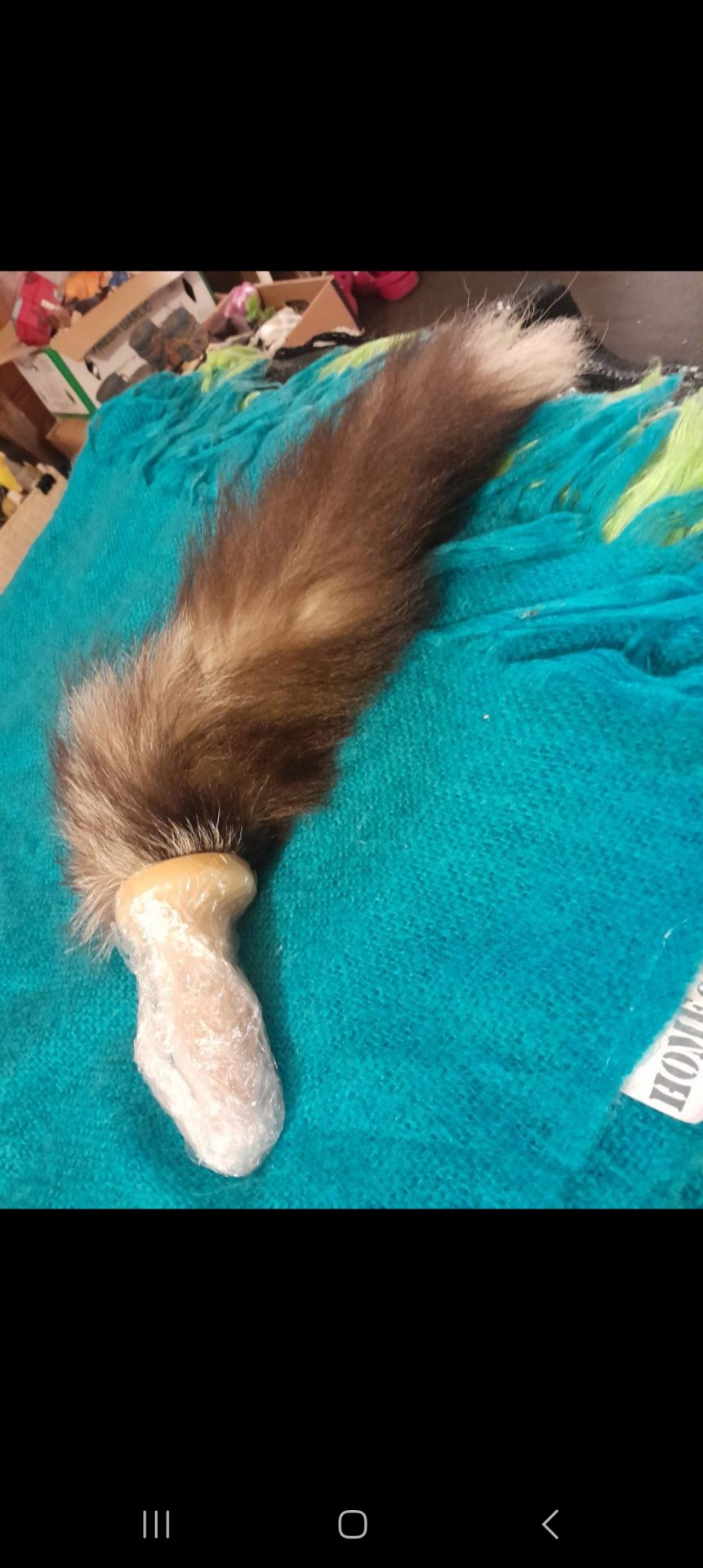 CougarCandy from Wellington,New Zealand