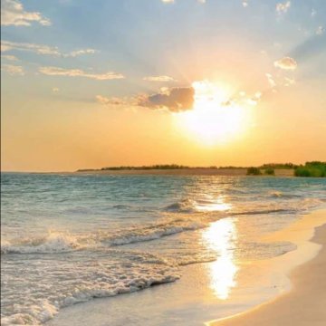 SexyB from Bay of Plenty,New Zealand